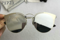 Dior Sunglasses AAA (1841)