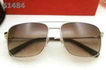 Ferragamo Sunglasses AAA (9)