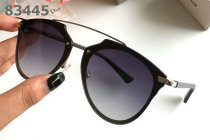 Dior Sunglasses AAA (1031)