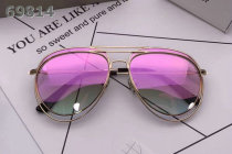 Dior Sunglasses AAA (1714)
