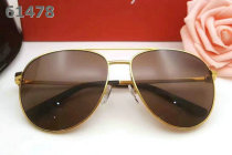 Ferragamo Sunglasses AAA (3)