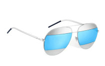 Dior Sunglasses AAA (1163)