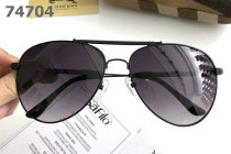Burberry Sunglasses AAA (401)