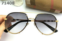 Burberry Sunglasses AAA (316)