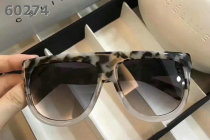 Celine Sunglasses AAA (67)