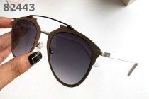 Dior Sunglasses AAA (955)