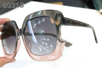 Dior Sunglasses AAA (810)