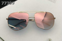 Dior Sunglasses AAA (504)
