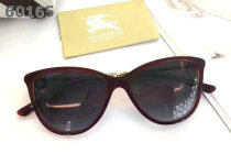 Burberry Sunglasses AAA (93)