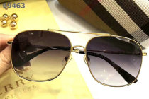 Burberry Sunglasses AAA (248)