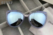 Dior Sunglasses AAA (1360)