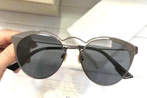 Dior Sunglasses AAA (1520)
