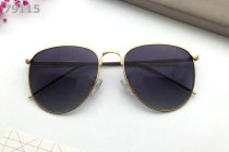 Dior Sunglasses AAA (665)