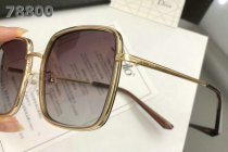 Dior Sunglasses AAA (624)