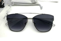Dior Sunglasses AAA (163)