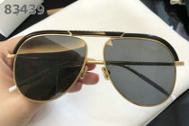 Dior Sunglasses AAA (1025)