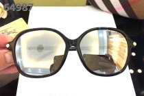 Burberry Sunglasses AAA (190)
