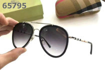 Burberry Sunglasses AAA (195)