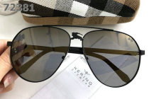 Burberry Sunglasses AAA (341)