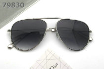 Dior Sunglasses AAA (766)