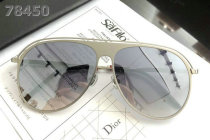 Dior Sunglasses AAA (559)