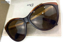 Dior Sunglasses AAA (1669)