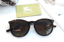 Burberry Sunglasses AAA (101)