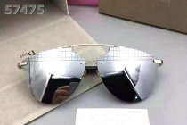 Dior Sunglasses AAA (1173)