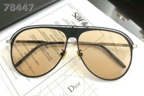 Dior Sunglasses AAA (556)