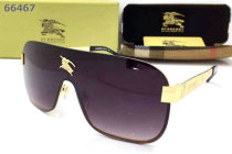 Burberry Sunglasses AAA (208)
