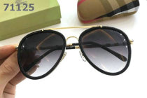 Burberry Sunglasses AAA (307)