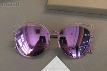 Dior Sunglasses AAA (1558)