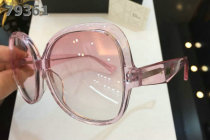 Dior Sunglasses AAA (689)