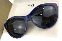 Dior Sunglasses AAA (1668)