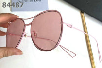 Dior Sunglasses AAA (1102)