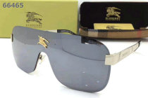 Burberry Sunglasses AAA (206)