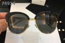 Dior Sunglasses AAA (261)