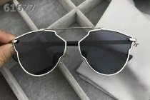 Dior Sunglasses AAA (1331)