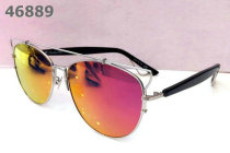 Dior Sunglasses AAA (309)