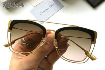 Dior Sunglasses AAA (553)