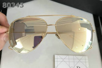 Dior Sunglasses AAA (838)