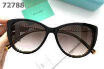 Tiffany Sunglasses AAA (113)