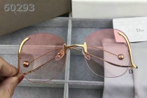 Dior Sunglasses AAA (1244)