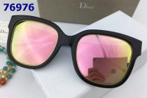 Dior Sunglasses AAA (462)
