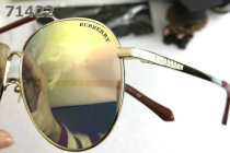Burberry Sunglasses AAA (330)