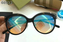 Burberry Sunglasses AAA (219)