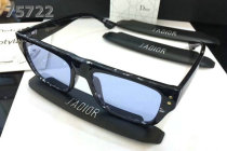 Dior Sunglasses AAA (307)