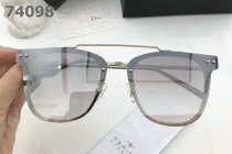 Dior Sunglasses AAA (209)
