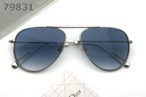 Dior Sunglasses AAA (767)