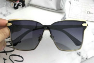 Dior Sunglasses AAA (106)